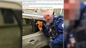 Un chien sauvé par les policiers à Caen le dimanche 22 décembre, après deux jours enfermé dans une voiture.
