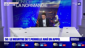 Manche: le meurtre de T. Perrelle jugé en appel