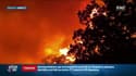 Incendie dans le Var: "à 3 minutes près, on était mort", témoigne un des voisins