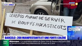 Grève du 23 mars: plus de 200 manifestants à Barcelonnette