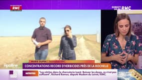 La Rochelle demande au gouvernement "une sortie effective des pesticides" 