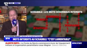 "Travelo", "bamboula", les mots désormais interdits au Scrabble: "C'est parfaitement ridicule" selon l'académicien Jean-Marie Rouart
