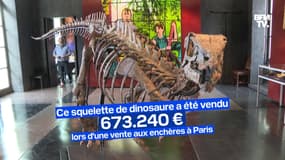 Ce squelette de dinosaure a été vendu plus de 600.000€ lors d'une vente aux enchères à Paris