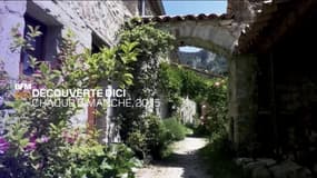Un loup tue un cheval à Montjustin (04) 