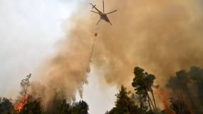 Un feu de forêt à Kechriés en Grèce, le 5 août 2021
