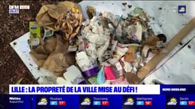 World Clean Up Day: ramassage de déchets dans les rues de Lille