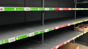 Un rayon œufs vide d'un magasin E.Leclerc dans le sud de la France. 