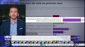 Municipales à Paris: Cédric Villani saisit la commission des sondages après la diffusion d'une étude par Benjamin Griveaux