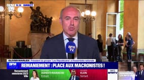 Remaniement: "On attend le cap politique derrière tout ça", pour Olivier Marleix (LR) 