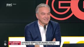 L'Assemblée Générale des GG : RIC et vote blanc, vers plus de démocratie ? - 04/02