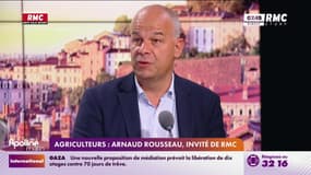 "On suspend la mobilisation", annonce le président de la FNSEA