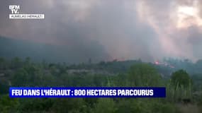 Feux dans l'Hérault : 800 hectares parcourus (4) - 26/07
