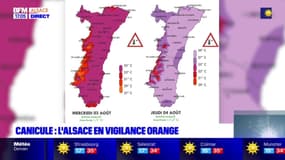 Canicule: l'Alsace placée en vigilance orange