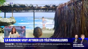 La Barbade veut attirer les télétravailleurs - 25/09