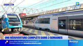 TER Lyon-Saint-Étienne: une "réouverture complète" dans environ trois semaines