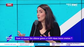 Le Zapping RMC - 09/11