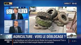 Crise agricole: "Les gouvernements successifs se sont cassés les dents sur ce rapport déséquilibré entre l'amont et l'aval de la filière", a lancé Thierry Benoit