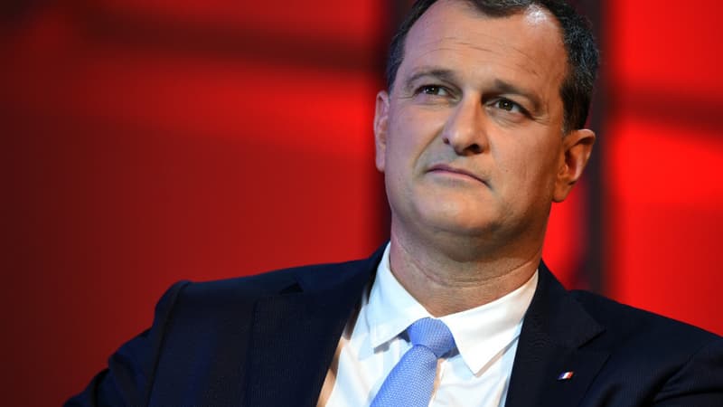 Louis Aliot, vice-président du Front national