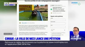 Cirque Zavatta à Nice: la mairie lance une pétition pour sauver les animaux