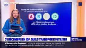 Nouvel An: la fréquence des métros et des trains renforcée en Ile-de-France