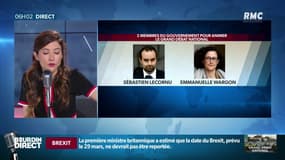 "Gilets jaunes": un duo de ministres et cinq garants pour le débat national
