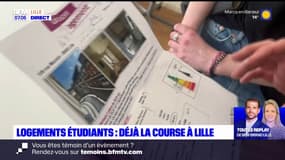 Hauts-de-France: la pomme de terre de plus en plus chère dans la région