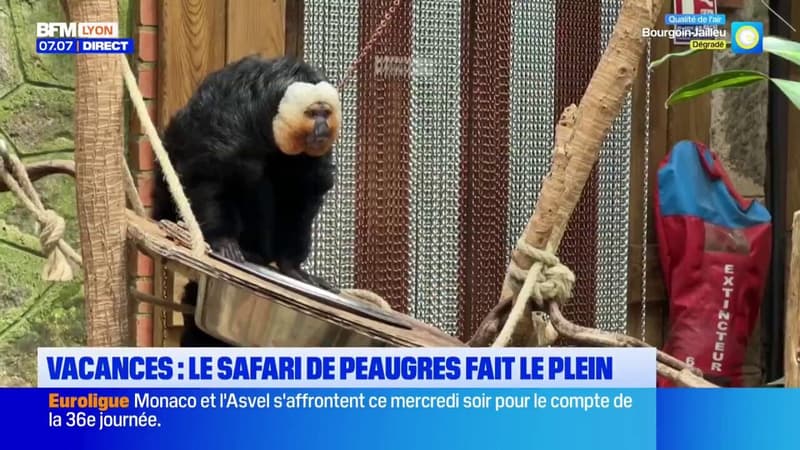 Vacances : Le Safari de Peaugres fait le plein