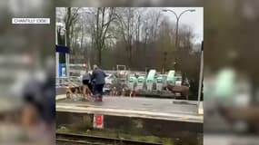 Épuisé par sa fuite, un cerf a trouvé refuge sur les voies ferrées de la gare SNCF de Chantilly mardi après-midi