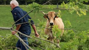 L'agriculteur Marc Rozières tire des branches de frêne pour nourrir ses bêtes, le 19 octobre 2022 à Saint-Côme-d'Olt, en Averyon