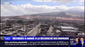 Après les incendies à Hawaï, l'heure est à la recherche des personnes portées disparues