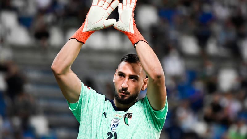 G. Donnarumma