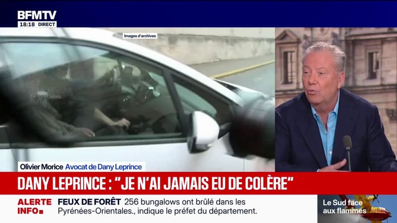 Annulation de la condamnation de Dany Leprince: "C'est une œuvre de justice", assure son avocat