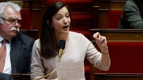 Marie-Charlotte Garin, députée écologiste