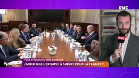 Javier Milei, le président argentin est-il l’exemple à suivre pour la France ?