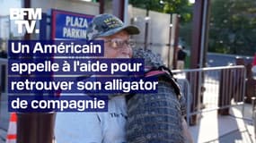  "S'il vous plaît, aidez-nous": un Américain appelle à l'aide pour retrouver son alligator de compagnie 