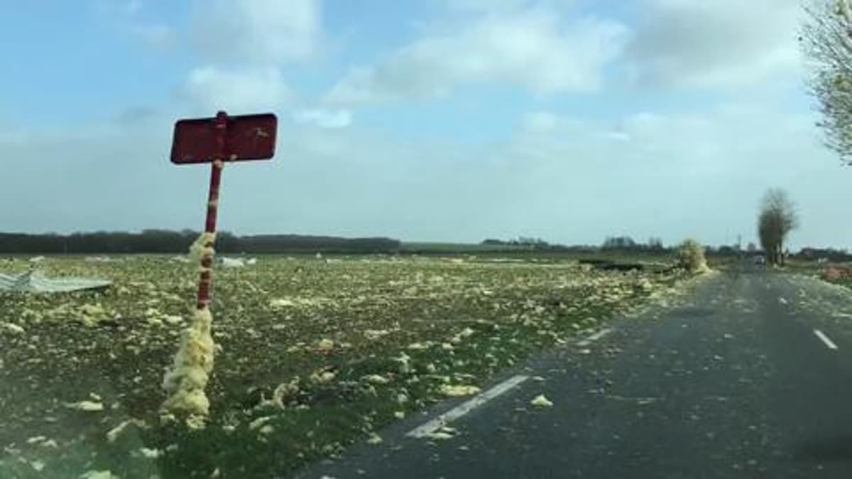 placeholder video