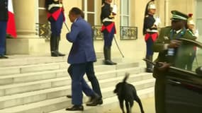 Nemo, nouveau chien des Macron: "Le feeling est très bien passé tout de suite"