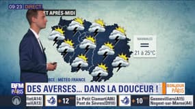 Météo Paris-Ile de France du 24 mai: Des averses..dans la douceur !