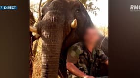 Après avoir chassé en Afrique, un vétérinaire de l'Eure ciblé sur les réseaux sociaux et par ses clients dubitatifs