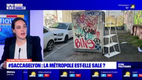 Lyon: "La métropole est propre", Isabelle Petiot, vice-présidente de la métropole de Lyon en charge de la propreté, considère comme sévères les critiques sur l'état des rues