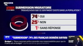 Story 5 : "Submersion", 74% des Français derrière François Bayrou - 29/01