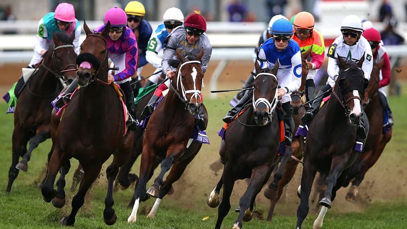 Une course hippique en octobre 2015