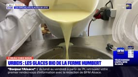 C beau chez nous: à la découverte des glaces bio de la Ferme Humbert à Urbeis