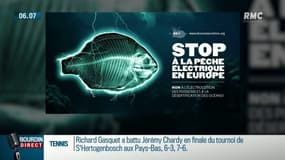 "Stop à la pêche électrique": "C'est la survie de notre métier de pêcheur et de la ressource" 