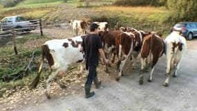 Agriculteur accusé d'obstruction sur la voie publique: "C'est pour eux qu'on se lève tous les matins"