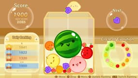 Le jeu Suika Game propose de remplir un jarre de fruits qui fusionnent lorsque deux espèces identiques se touchent.