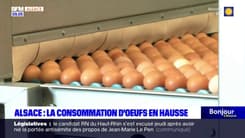 Alsace: la consommation d'œufs en hausse