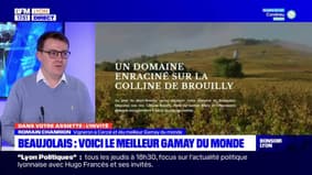 Dans votre assiette du jeudi 26 janvier 2023 - Beaujolais: Voici le meilleur gamay du monde