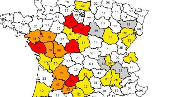 carte restrictions.JPG