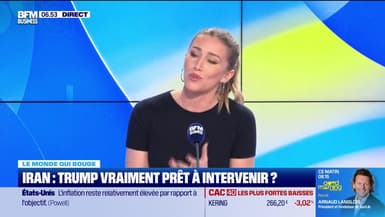 Annalisa Cappellini : Iran, Trump vraiment prêt à intervenir ? - 29/01